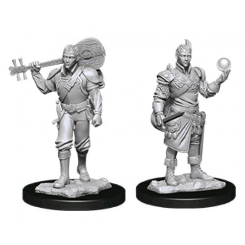 Male Half-Elf Bard - D&D - Nolzur's Marvelous Miniatures
